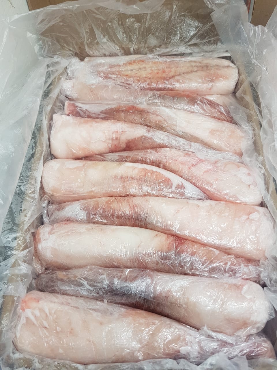 Monkfish